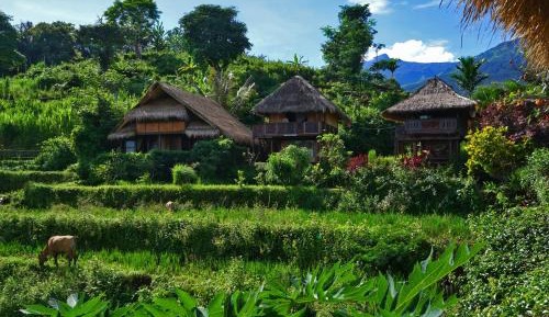 Family Bungalow