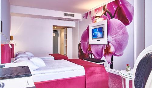 Deluxe Family PLUS Room