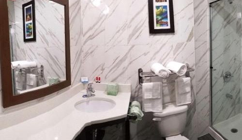 King Room with Bath Tub - Mobility/Hearing Accessible - Non-Smoking