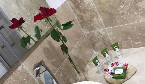 Deluxe Double Room with Shower
