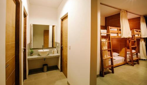 Bunk Bed in Mixed Dormitory Room