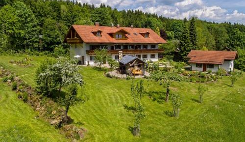 Studio Apartment Predigtstuhl