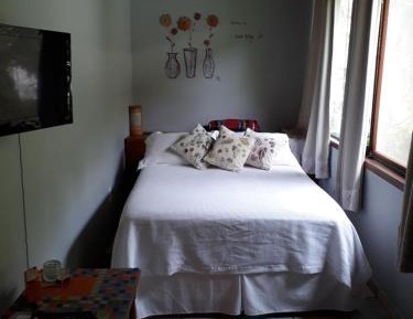 Studio with Garden View