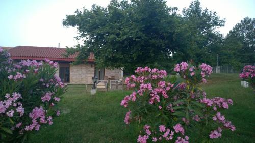Studio (2 Adults)