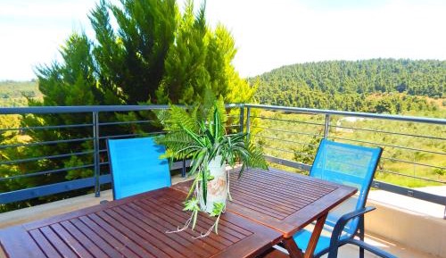 Apartment with Terrace