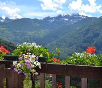 Double Room with Balcony and Mountain View