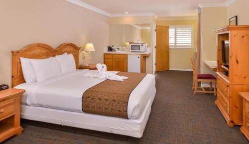 King Room with Roll-In Shower - Disability Access