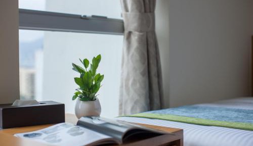 Standard Single Room (Registered by Female Only)