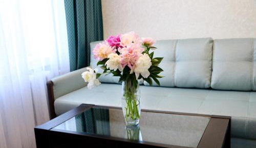 Family Junior Suite