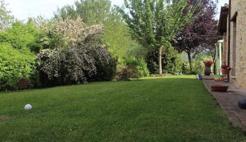 Studio with Garden View