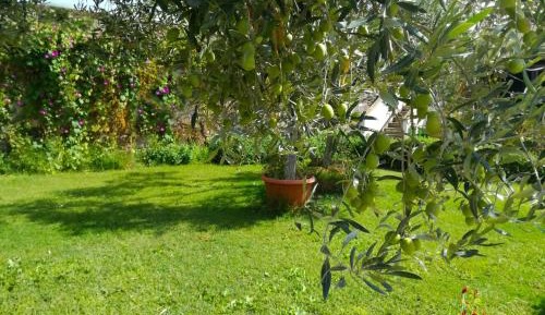 Two-Bedroom Apartment with Garden View