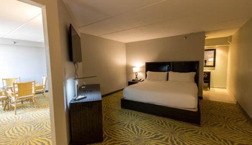 One-Bedroom King Suite