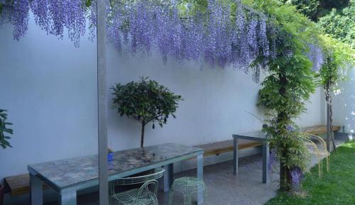 One-Bedroom Apartment (2 Adults) with Garden Access