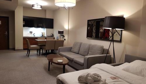 Deluxe One-Bedroom Apartment