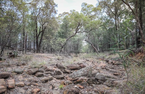 Gilgandra Cabin | Earth n TimbernSleeps 4 1 bathroom
