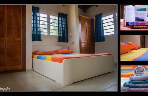 Sabal Palm House | Bonaire: Sabal Palm 50 guesthouse