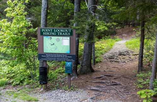 Northport Cabin | Private cabin on the Maine coast