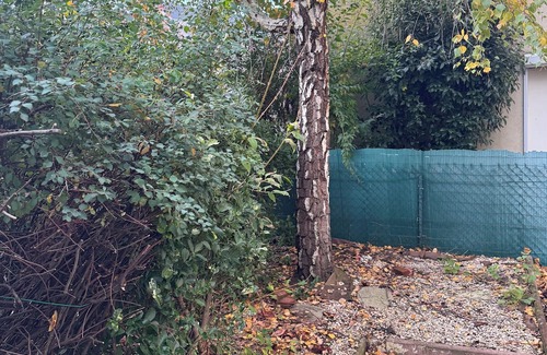 Kingersheim Apartment | Appartement Cosy du Kaligone