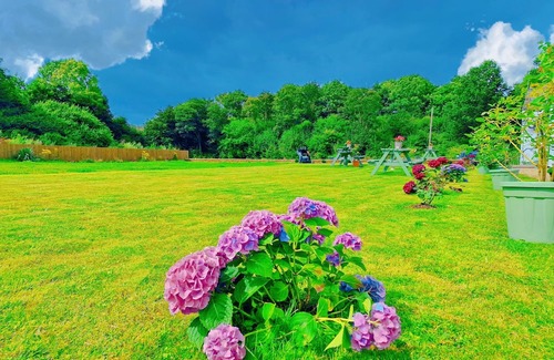 Middleton Cheney RV Rental | Basic-Tent-Countryside view-Communal washrooms