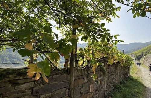 Konigsfeld House | FeWo KaRitz Comfortable holiday residence