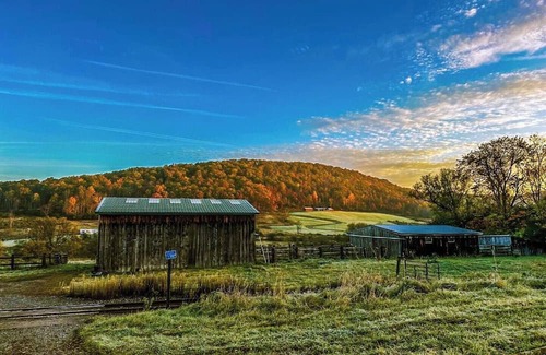 Andover RV Rental | Creekside Yurt