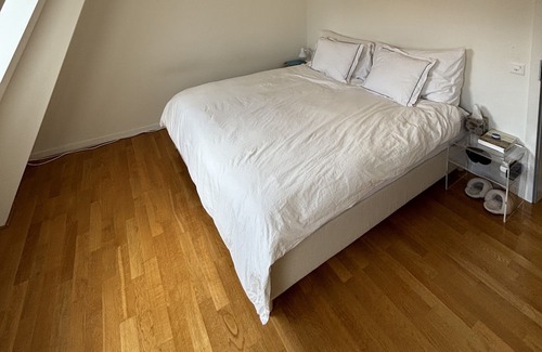 Werd Apartment | Spacious 3-room two story flat available for sublet Mid- March, April, and May