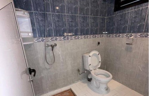 Anza Apartment | DINOSAUR ANZA SURF HOUSE - Double room #3