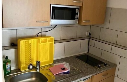 Menzenschwand-Hinterdorf House | Meierhof Menzenschwand