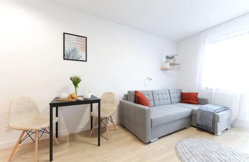 Pradnik Bialy Apartment | Fully equipped modern apartment in Krakow