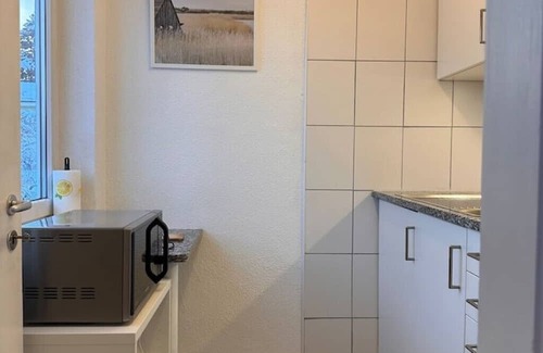 Hoengg Apartment | Gemütliches Apartment mit Einem Schlafzimmer in Zürich Höngg