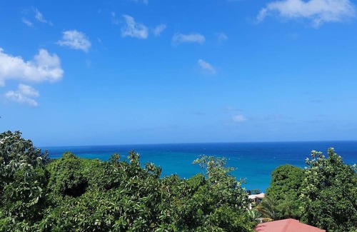 Port Antonio Apartment | Alex,'s place AT Tim Pappies Elegant well appointed unit