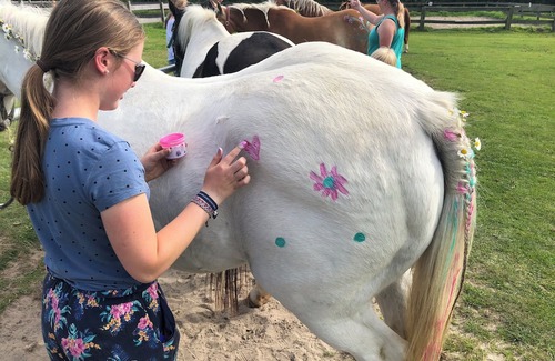 Holtgast Apartment | Ferienwohnung mit Einem Schlafzimmer in Ruhiger Idyllischer Lage, Nordseenähe