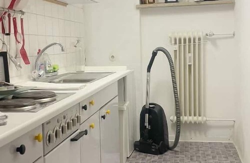 Mitterfirmiansreut Apartment | Ferienwohnung Maximilian Direkt am Waldrand
