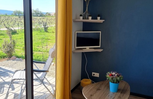 Olonzac Cottage | Cottage Chaleureux Face aux Vignes Pour un Séjour Détente Pour Toute la Famille