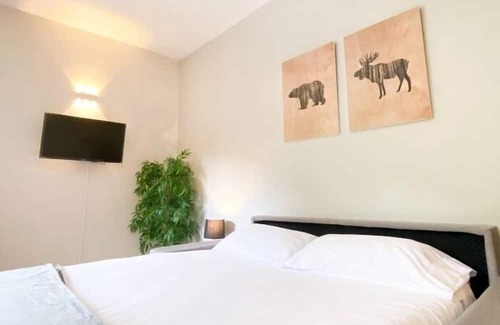 Ransol Apartment | Charming studio by the river. 2 beds+Smart TV+wifi