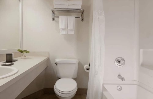 Pinellas Point Hotel | 2 Breathtaking Units | St. Pete Adventure & Outdoor Activities | Tampa Bay Views