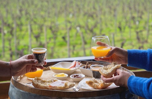 Santa Cruz Cabin | Apalta Lofts, enjoy the vineyards in front of the vineyards