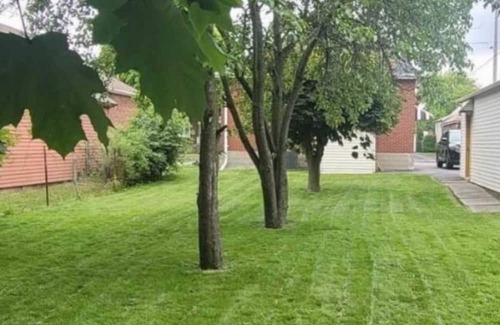 Durham Region House | Basement apartment at 240, Oshawa area