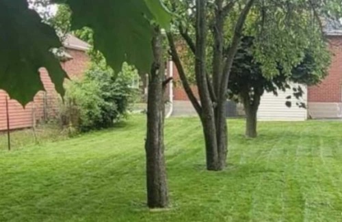 Durham Region House | Basement apartment at 240, Oshawa area