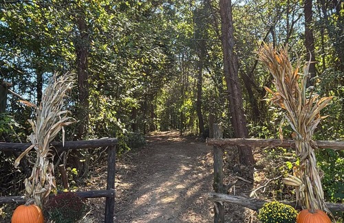 Greenback Cabin | Cozy Smoky Mtn Cabin Dragon, Cades Cove, Tellico