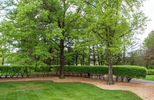 Andover House | Luxurious, fully renovated 5 bedroom home great indoor & outdoor living spaces