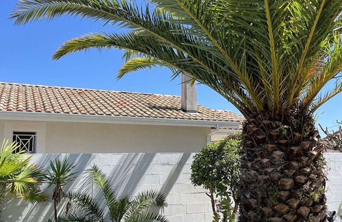 Biscarrosse Plage Villa | Charming villa with terrace near the beach