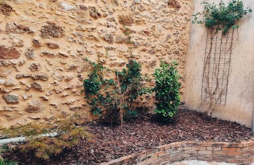 Quartier Centre Ville House | Homerez - Cozy house with garden in Massy