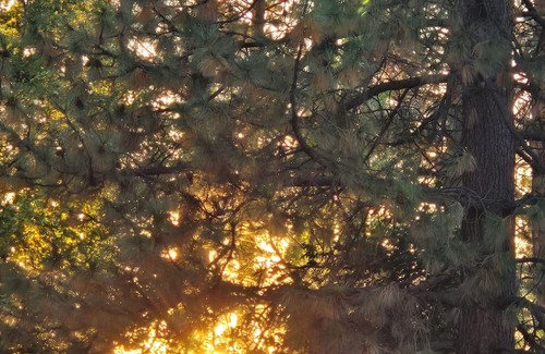 Burney Apartment | Modern 2bedroom apartment with AC,WiFi in peaceful Burney 1.5 bath beds upstairs