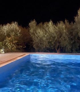 Tragjas Villa | Olives Garden Villa