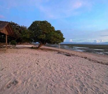 Lian Apartment | Clipper View Beachfront Calatagan cel