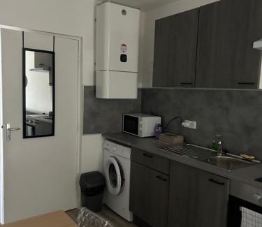 Vieux Vichy Apartment | Appartement avec balcon