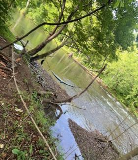 Covington Other | Shirleys River Retreat