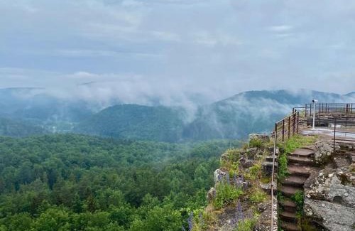 Scheibenhardt Apartment | Ferienwohnung Südpfalz am Elsass