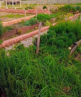 Tabarka House | Rissala Kids Farm